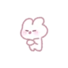 A cute and energetic rabbit 9