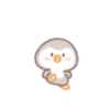 Precious little penguin 'BEBE.P' 9