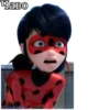 Lady_bug_Cat_noir 10