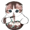 Kittens : : 🍢 7