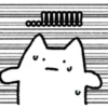 !!!!!!!!