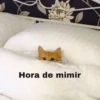 Hora de dormir 😴🌆🌙 8