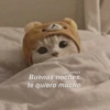 Hora de dormir 😴🌆🌙 9