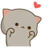 Love🐱❤️ 10