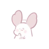 Chinchilla as cute as a puppy 12