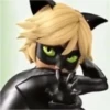 Miraculous🐞 11