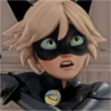 Miraculous🐞 12