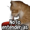 No lo entenderías