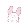 Chinchilla as cute as a puppy 14