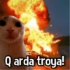 Q arda troya!