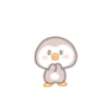Precious little penguin 'BEBE.P' 13