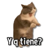 Y q tiene?