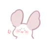 Chinchilla as cute as a puppy 15