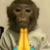🍌🐒 MONOS 🐒🍌 7