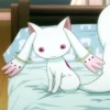 Mahou Shoujo Madoka Magica 12