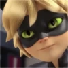 Miraculous🐞 13