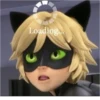 Miraculous🐞 15