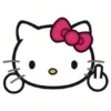 HELLO KITTY RANDOM 💌 14
