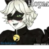 Lady_bug_Cat_noir 17