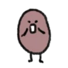 Little cute brown beans 13