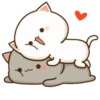 Love🐱❤️ 13