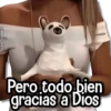 kane stickers Pero todo bien gracias a Dios