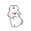 YUMYUM RABBIT 12
