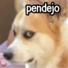 Mix RANDOM! 1 7