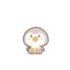 Precious little penguin 'BEBE.P' 18