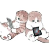 Kittens : : 🍢 16