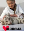 За Лебіговича! @anime_X_walls 15
