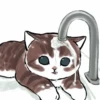 Kittens : : 🍢 17