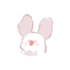 Chinchilla as cute as a puppy 23
