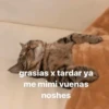 Hora de dormir 😴🌆🌙 11