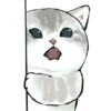Kittens : : 🍢 18