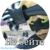 Lady_bug_Cat_noir 20