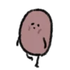 Little cute brown beans 18