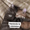 Hora de dormir 😴🌆🌙 12