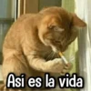 Mix RANDOM! 1 11