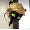 Miraculous🐞 22