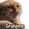 Gruñeme