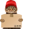 Cats 25