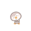 Precious little penguin 'BEBE.P' 25