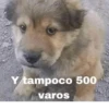 Moods XD 19