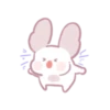 Chinchilla as cute as a puppy 27