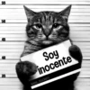 55 50 45 40 Soy inocente 35 kane_stickers
