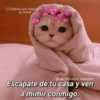 Hora de dormir 😴🌆🌙 13