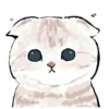 Kittens : : 🍢 26