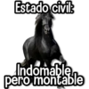 Estado civil: kane Indomable pero montable