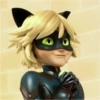 Miraculous🐞 27